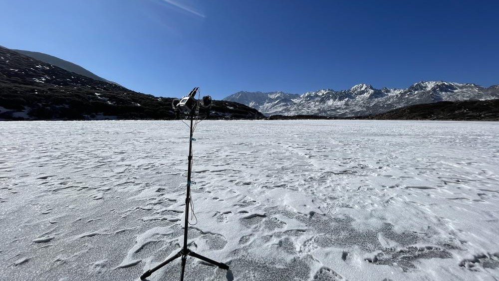 A southwest-facing view (toward Moxi-Yagtya Ge 磨西-雅家梗) from the center of Yema Haizi, with North Ridge of Minya Konka (Mount Gongga) in the distance.