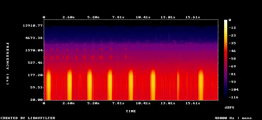 Spectrogram of xeno-canto recording 741523