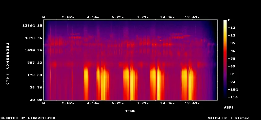 Spectrogram of xeno-canto recording 832807
